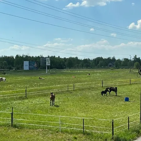 Osada Marcowa - Niebieski Z Sauną&jacuzzi Domek alpejski *